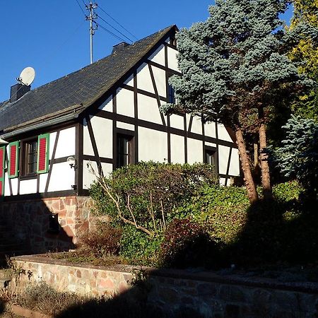 Vakantiehuis Hunsrueck Leisel Экстерьер фото