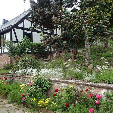 Vakantiehuis Hunsrueck Leisel Экстерьер фото