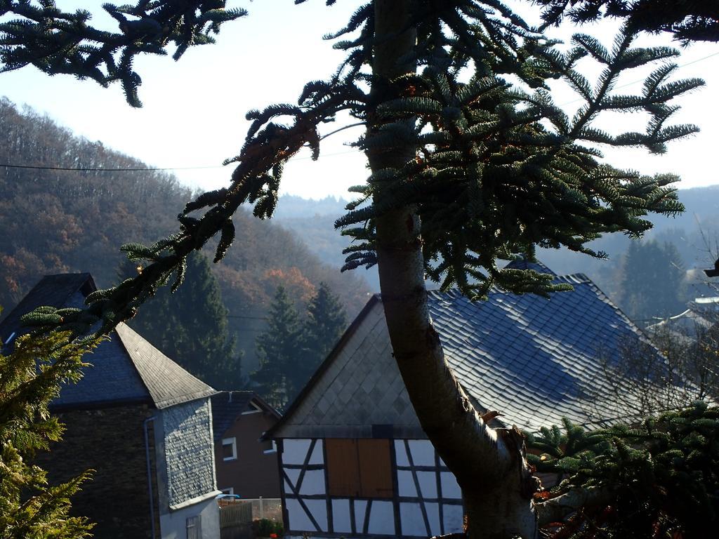 Vakantiehuis Hunsrueck Leisel Экстерьер фото