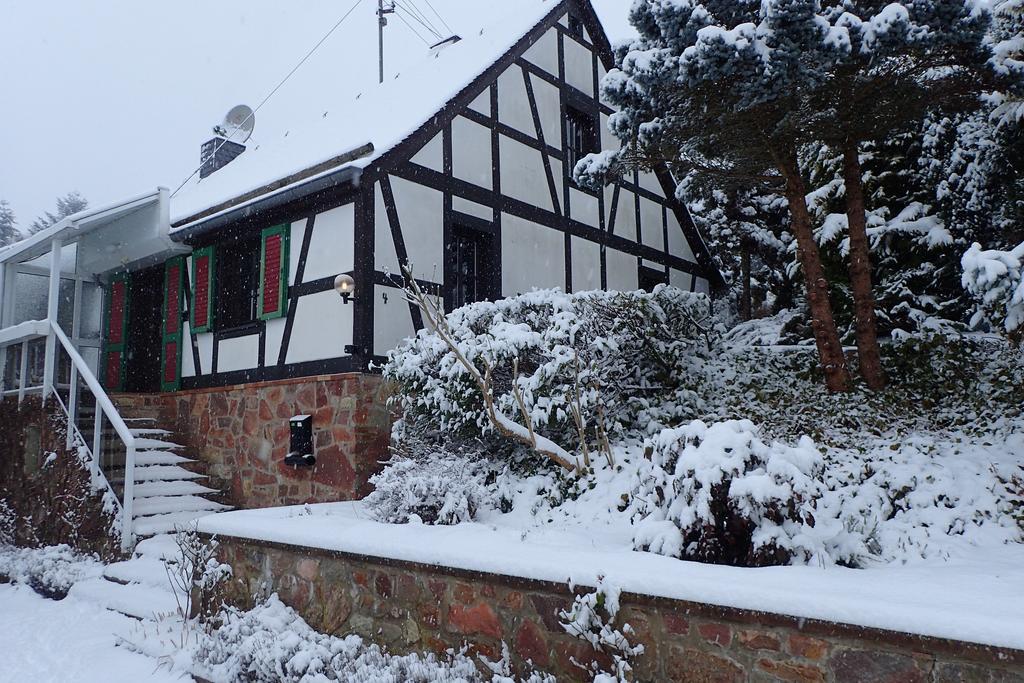 Vakantiehuis Hunsrueck Leisel Экстерьер фото