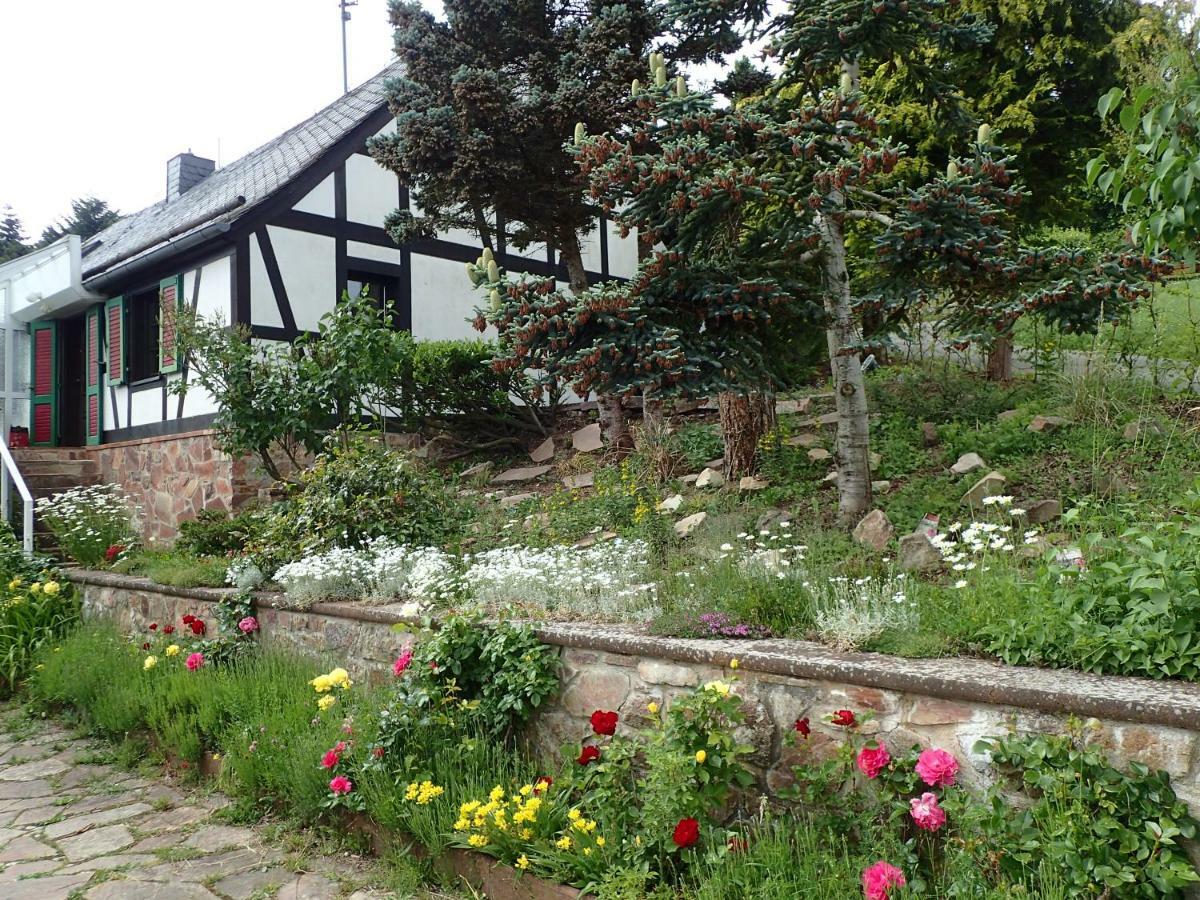 Vakantiehuis Hunsrueck Leisel Экстерьер фото
